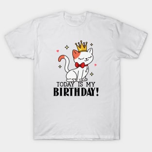 Princess Cat Birthday T-Shirt